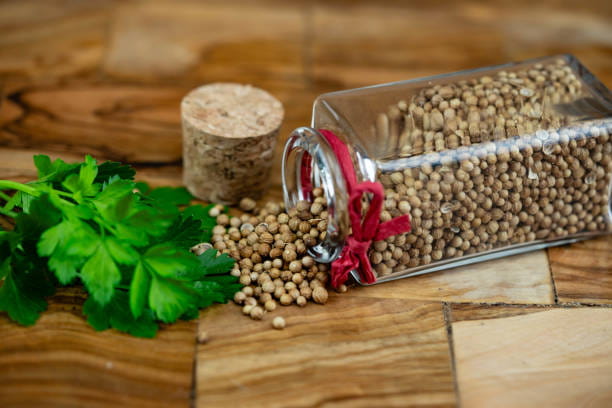 قیمت تخم گشنیز اعلا با کیفیت ارزان + خرید عمده